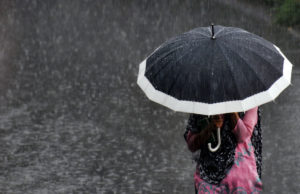 An Indian pedestrian walks under an umbrella during a heavy rainshower in the northern hill town of Simla on July 19, 2013. The monsoon season, which runs from June to September, accounts for about 80 percent of India's annual rainfall, vital for a farm economy which lacks adequate irrigation facilities. AFP PHOTO/STR (Photo credit should read STRDEL/AFP/Getty Images)